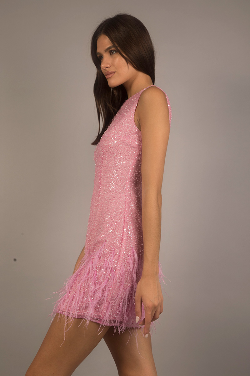 Tulle dress embroidered with feathers