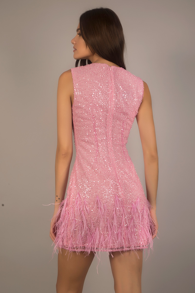 Tulle dress embroidered with feathers